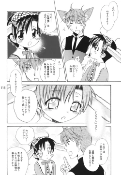 Page 117 of Usazukintan. Matome