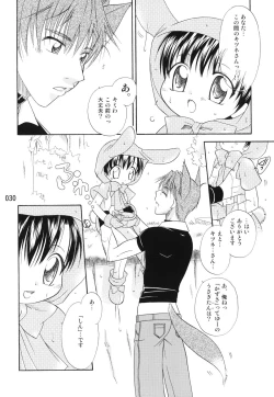 Page 29 of Usazukintan. Matome