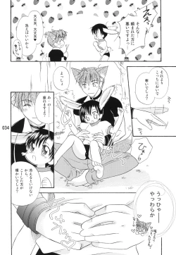 Page 33 of Usazukintan. Matome