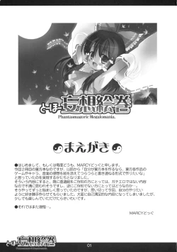 Page 2 of Touhou Mousou Emaki