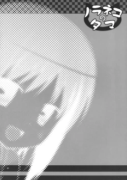 Page 23 of Kirigami Shima