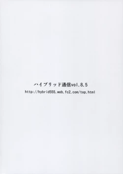 Page 23 of Hybrid Tsuushin Vol.8.5