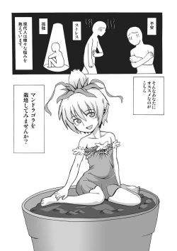 Page 2 of Okudake Mandragora