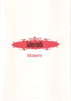 Page 18 of labyrinth