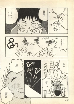 Page 258 of Pai;kuu Daisangou