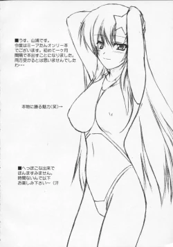 Page 3 of Meer Special (Kidou Senshi Gundam SEED DESTINY / Mobile Suit Gundam SEED DESTINY