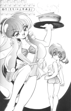 Page 5 of DX Deluxe Chuuka Sanmai