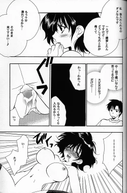 Page 18 of C-HOBIT 2