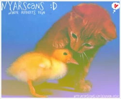 Page 30 of Healing Note