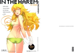 Page 1 of IN THE HAREM A SIDE