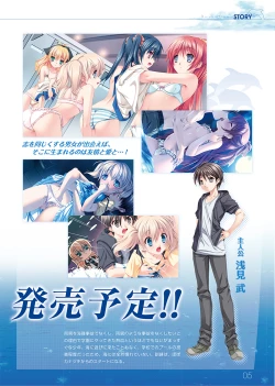 Page 5 of Dolphin Divers  Preview Visual Fanbook