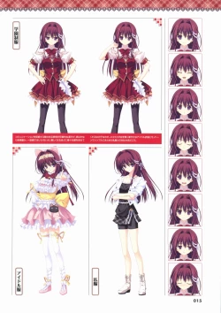 Page 15 of Kimi wo Aogi Otome wa Hime ni Visual Fan Book