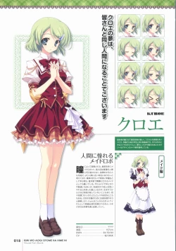 Page 18 of Kimi wo Aogi Otome wa Hime ni Visual Fan Book