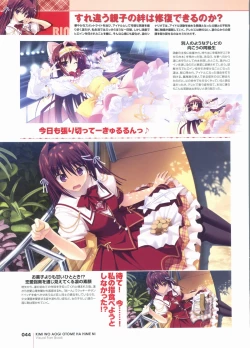 Page 44 of Kimi wo Aogi Otome wa Hime ni Visual Fan Book
