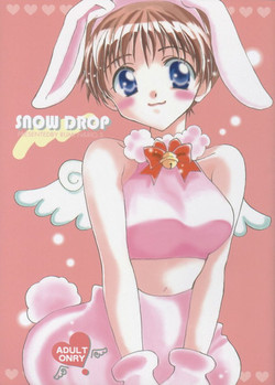 (C55) [Gyaroppu Daina, Kusse (Narita Rumi, Senami Rio)] SNOW DROP (Neon Genesis Evangelion)