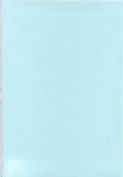 Page 5 of Virgin Slit