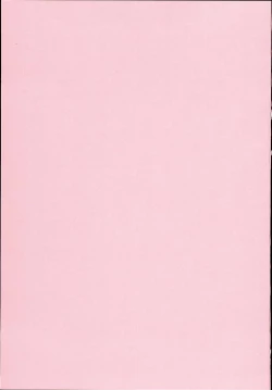 Page 4 of Imouto Netsuai Ryouiki