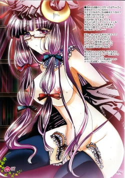 Page 7 of Touhou log