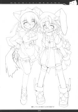 Page 13 of NECO/33/MEGANE