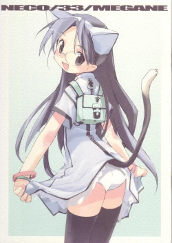 Page 1 of NECO/33/MEGANE