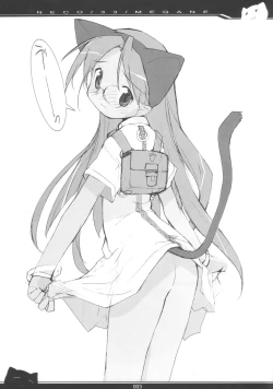 Page 2 of NECO/33/MEGANE