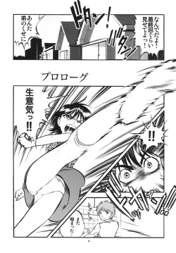 Page 4 of R Shitei Ki