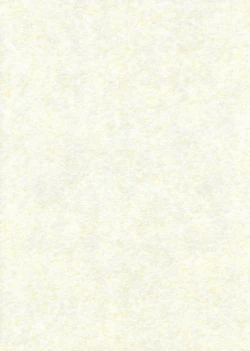 Page 19 of Ali Pro Sono 1