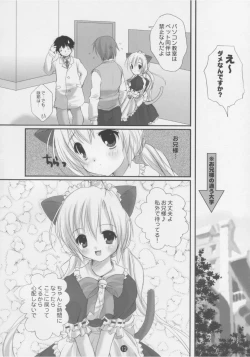 Page 11 of Dengeki Nekomimi Paradise