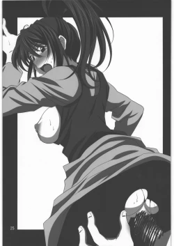 Page 24 of Subete Hazusanai LV5