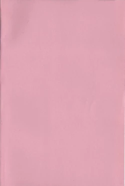 Page 4 of Nami SOS! Naoko Black Bird Hen