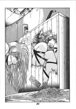 Page 36 of Jiyuu Tamashii 2