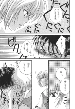 Page 28 of Tenshi Houkou