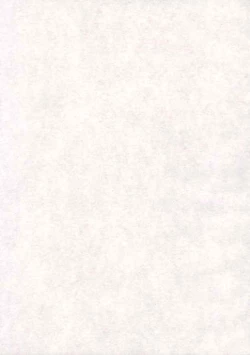 Page 27 of Yoruichi Nyan no Hon 2