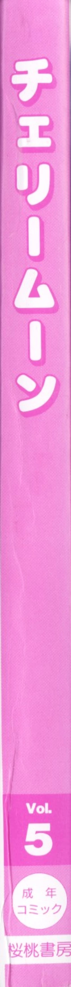 Page 3 of Cherry Moon SUPER! Vol. 5