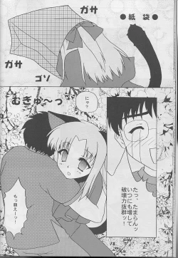Page 17 of Black Cats 14 Hanten Kuroneko Musume