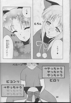 Page 19 of Black Cats 14 Hanten Kuroneko Musume