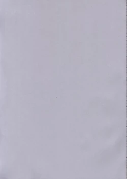 Page 2 of Poisonix Version Epsilon