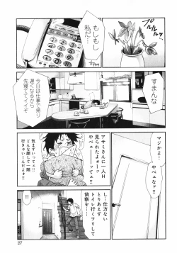 Page 29 of Dakareru Kankei