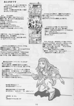 Page 24 of Zwei vs. S.ifr