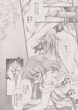 Page 39 of Maihime ～Karen～ 6 Teito yori.