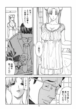 Page 13 of Tsukino Usagi