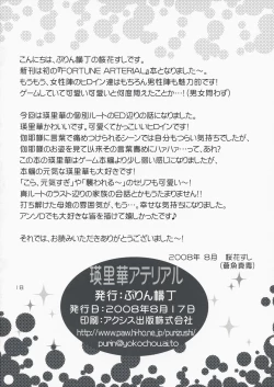 Page 17 of Erika Arterial