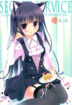 Page 1 of Secret Service