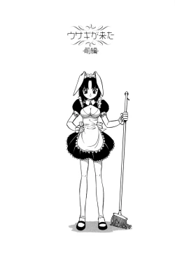 Page 49 of Mesu Neko - Maid Cats Story