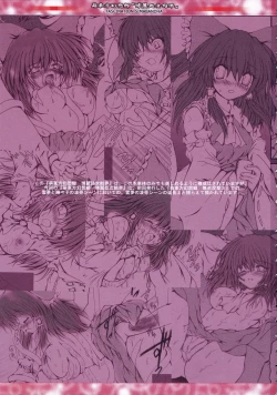 Page 2 of Moe Touhou Gensoukyou - Hakurei Shojo Kekkai