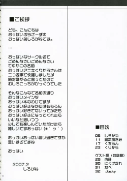 Page 3 of Touhou Chichi Ranbu