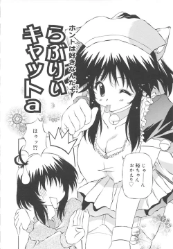 Page 96 of Honto wa Suki Nanda+