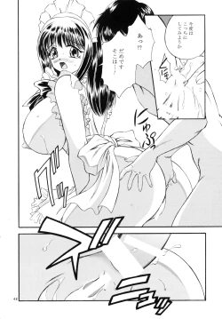 Page 48 of DOLLS DIARY