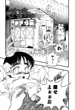 Page 178 of Flower Complex