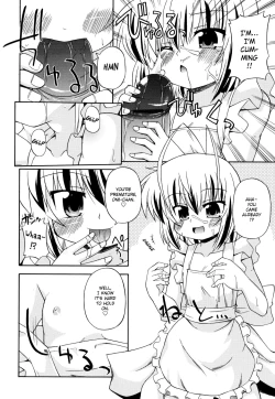 Page 133 of Gohoteki Mini Size